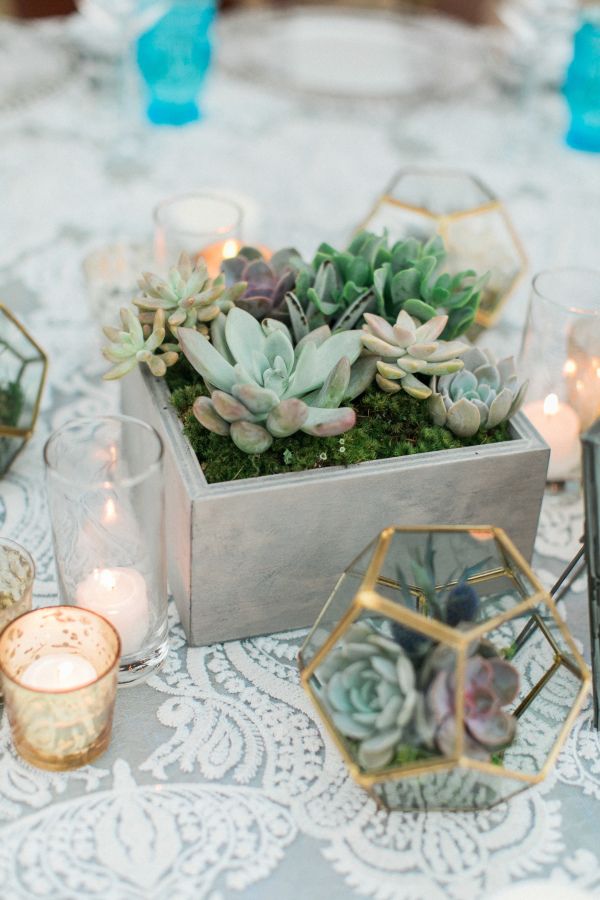 Succulent Wedding Ideas That Are In Trend