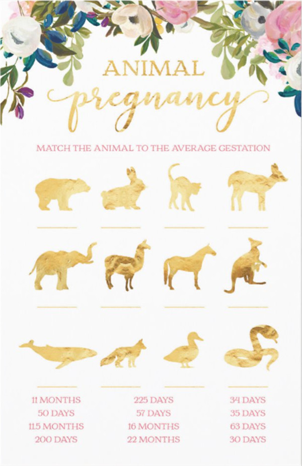animal baby shower themes