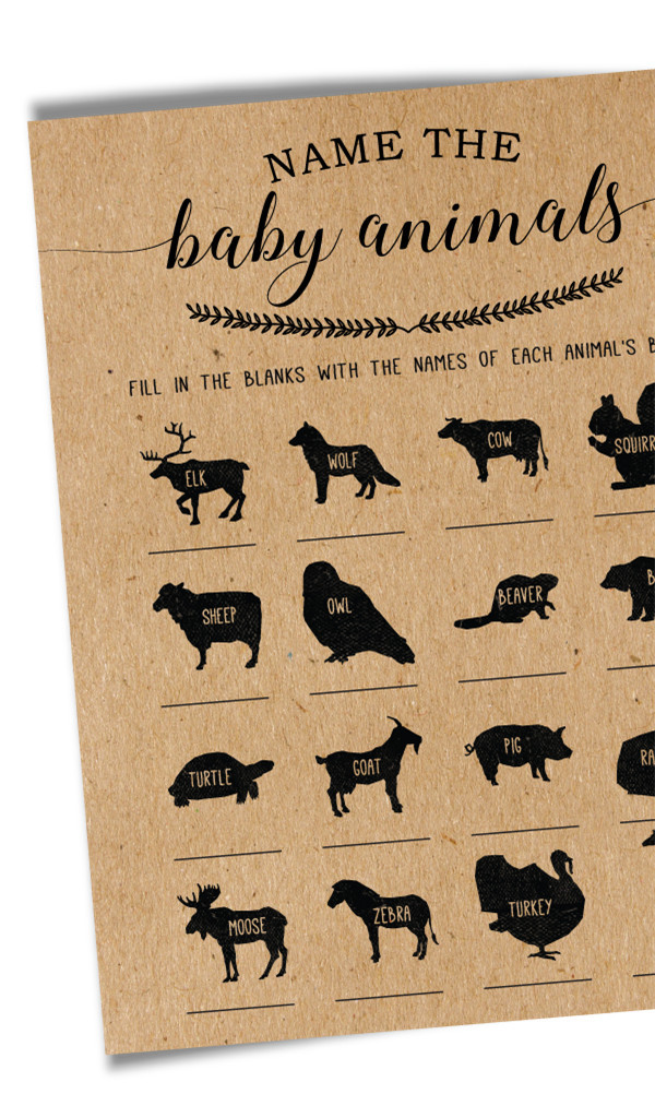 animal baby shower themes
